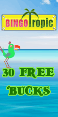 Bingo Tropic - Best in Online Bingo